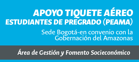 Convocatoria Apoyo Tiquete Aéreo Estudiantes de pregrado (PEAMA)