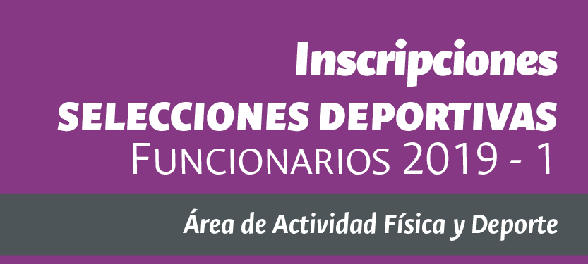 013 Convocatoria Selecciones Institucionales Funcionarios